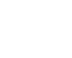 Hey Hey werkt voor Thomas More
